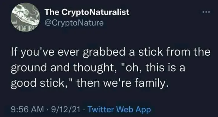 stick meme