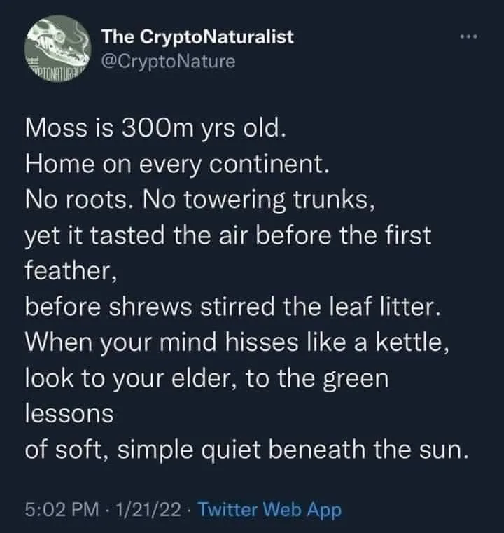 moss meme
