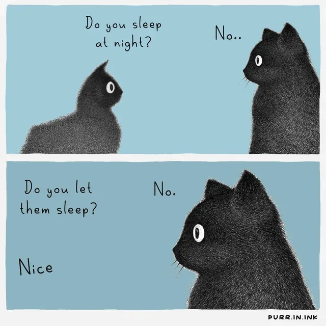 being nocturnal meme