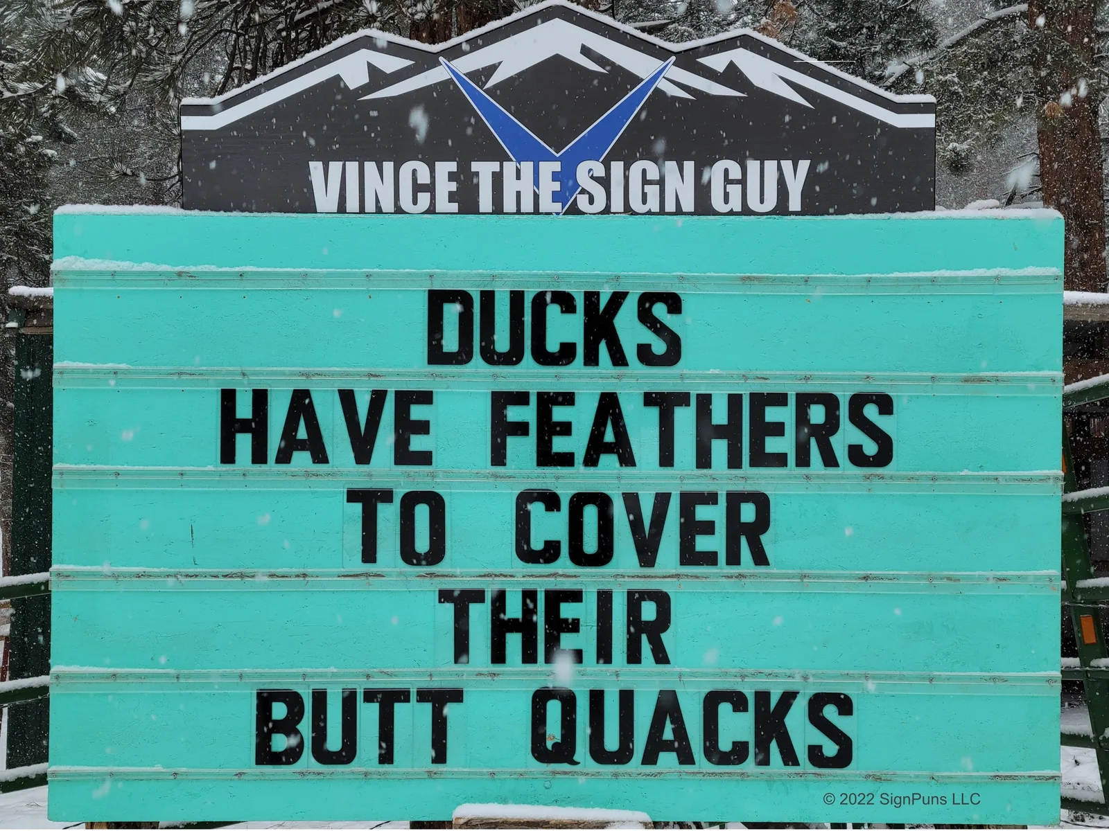 feather meme