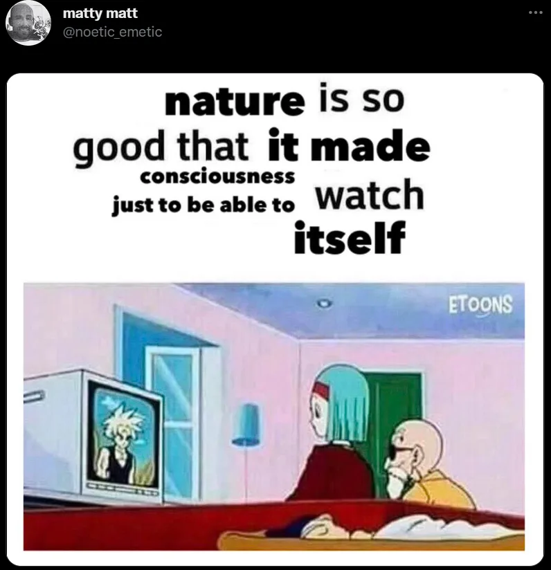 consciousness meme
