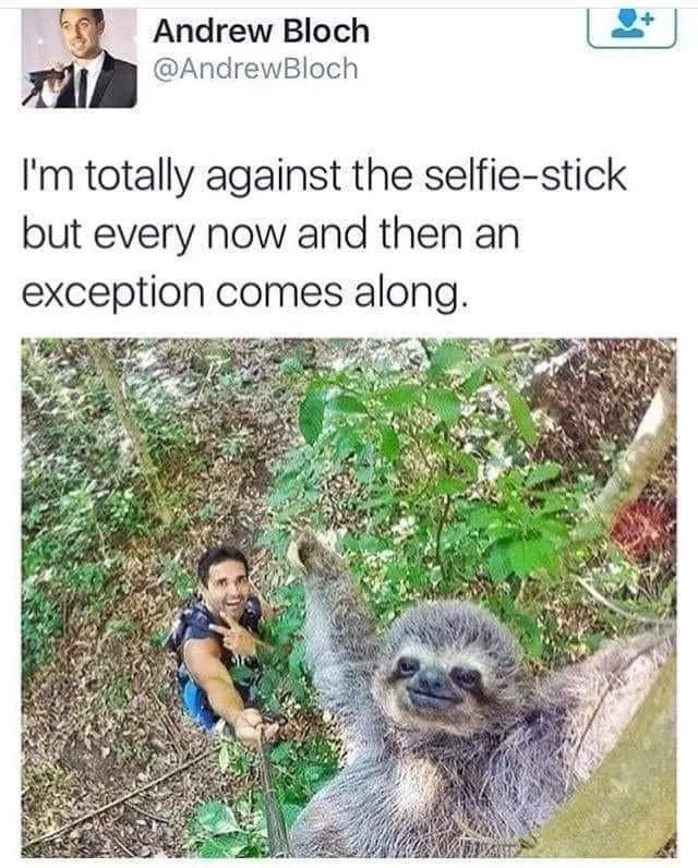 selfie stick meme