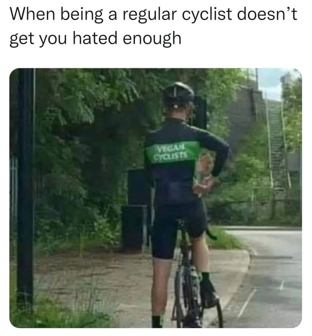 being hated meme