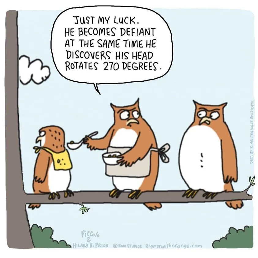 owl meme