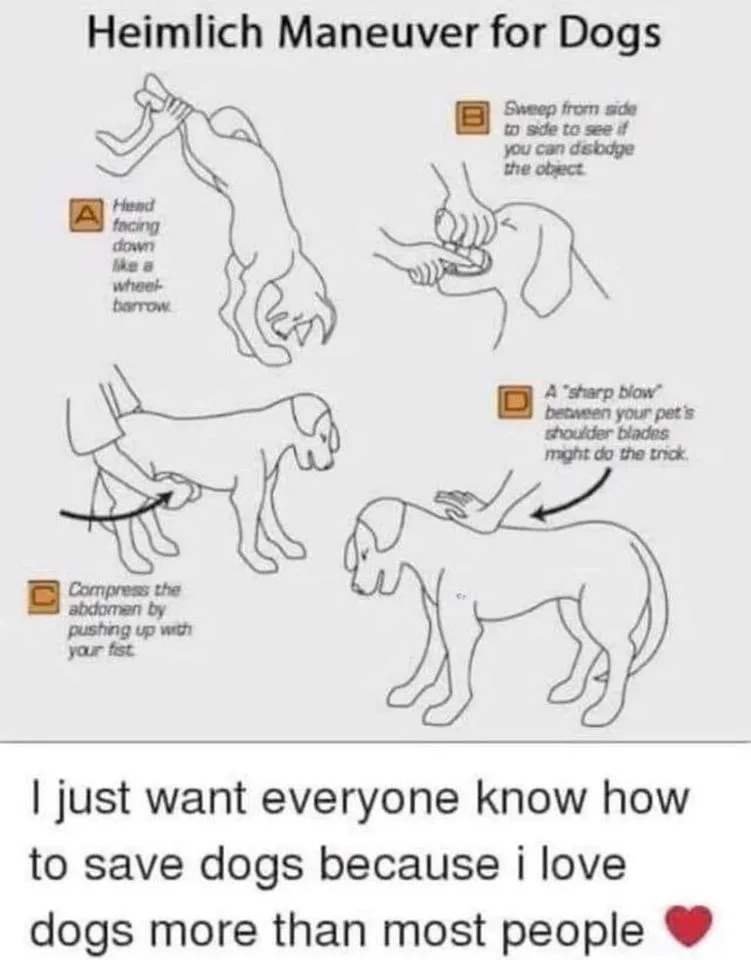 Heimlich maneuver meme