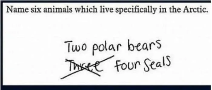 polar bear meme