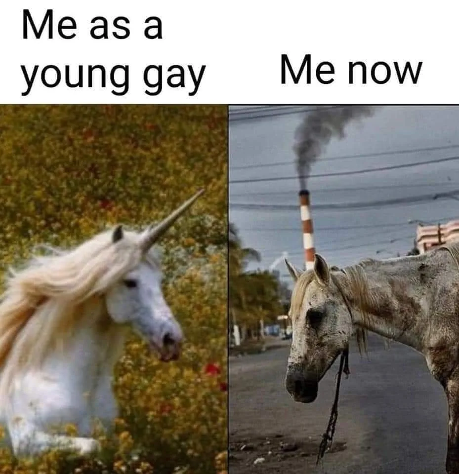 gay meme
