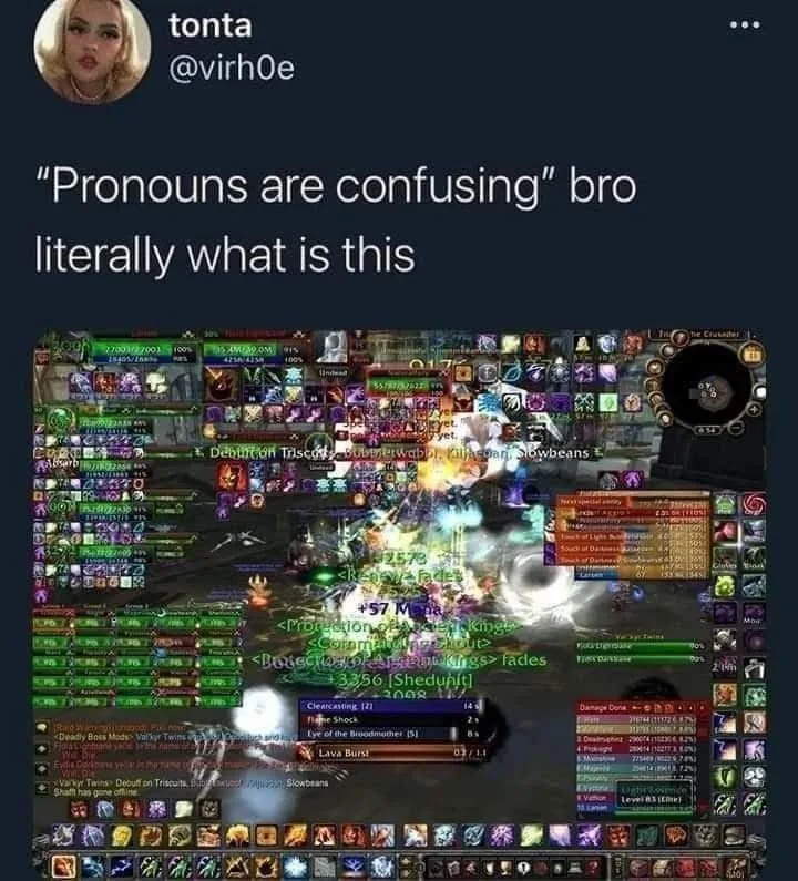 gender pronouns meme