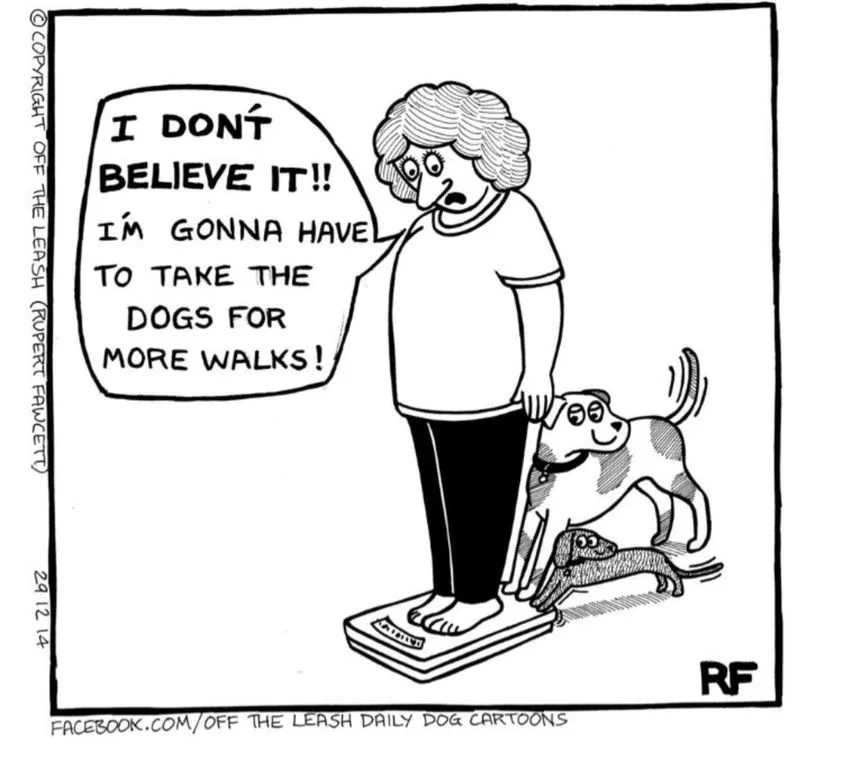 bathroom scale meme