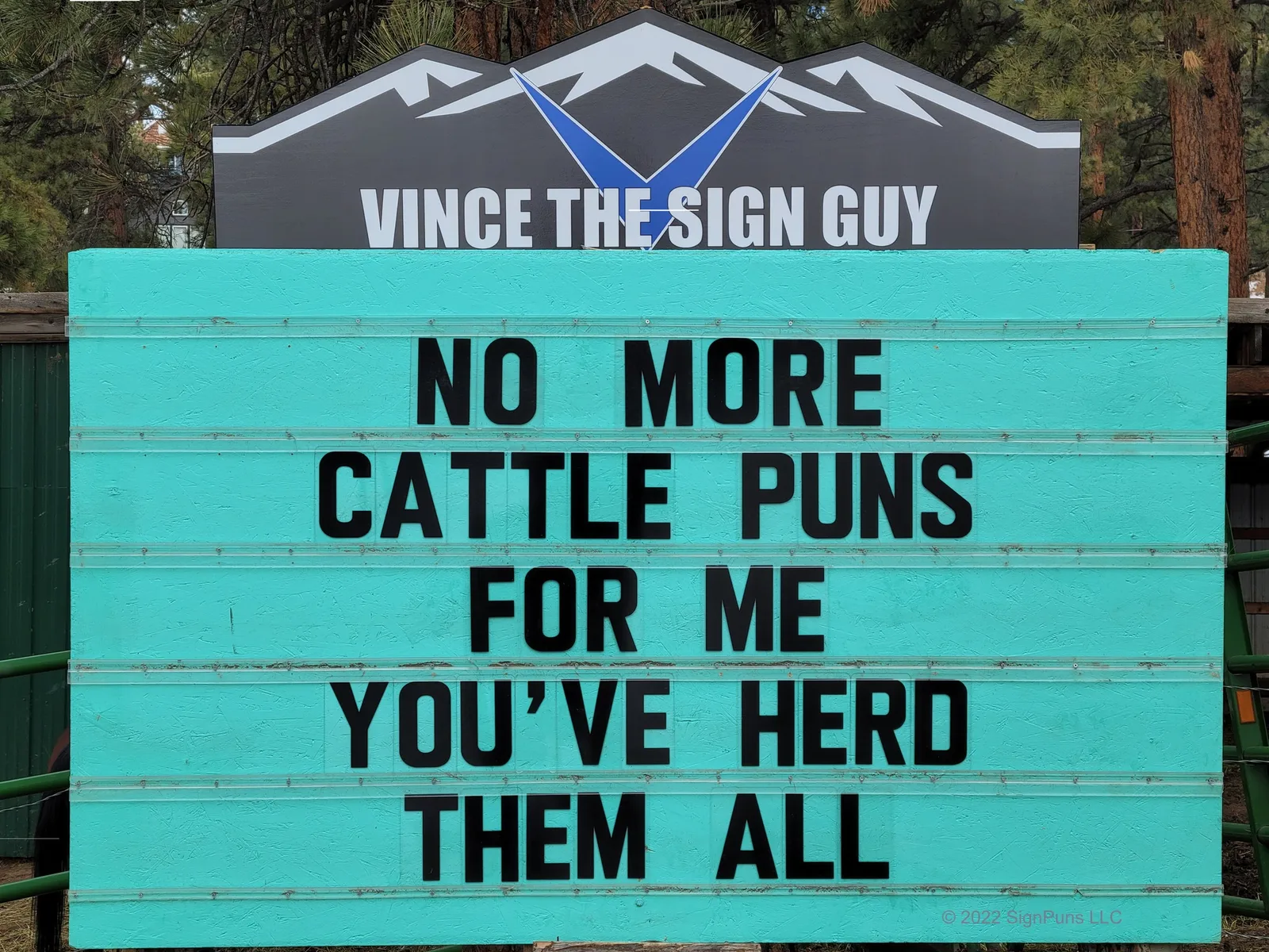 cattle meme