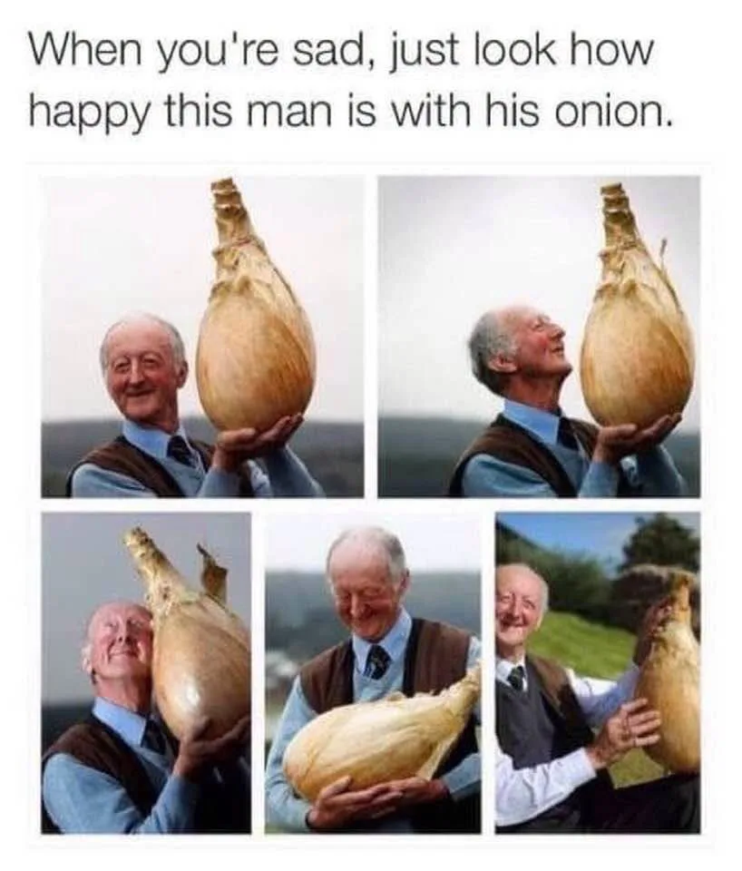 onion meme
