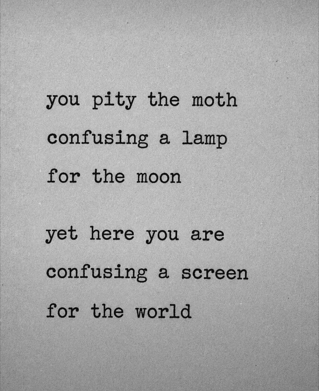 moth meme