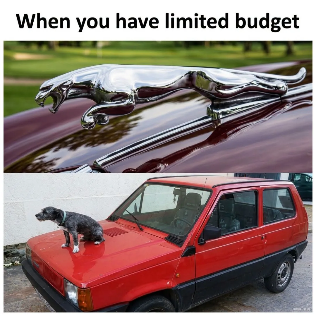 jaguar meme
