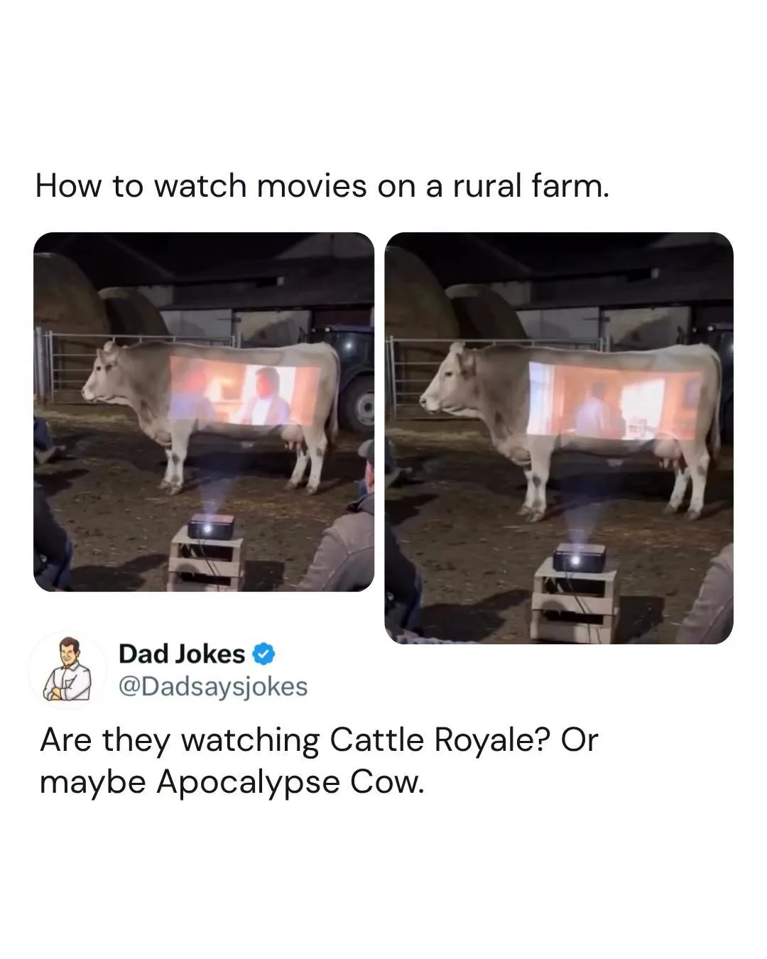 cow meme