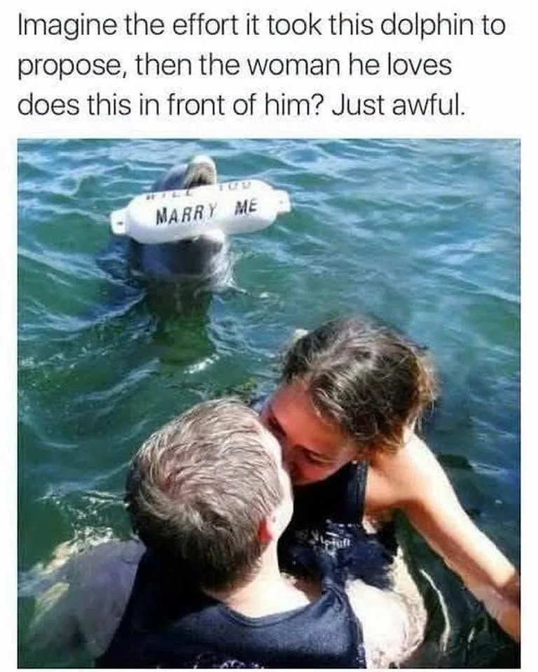 marriage proposal meme