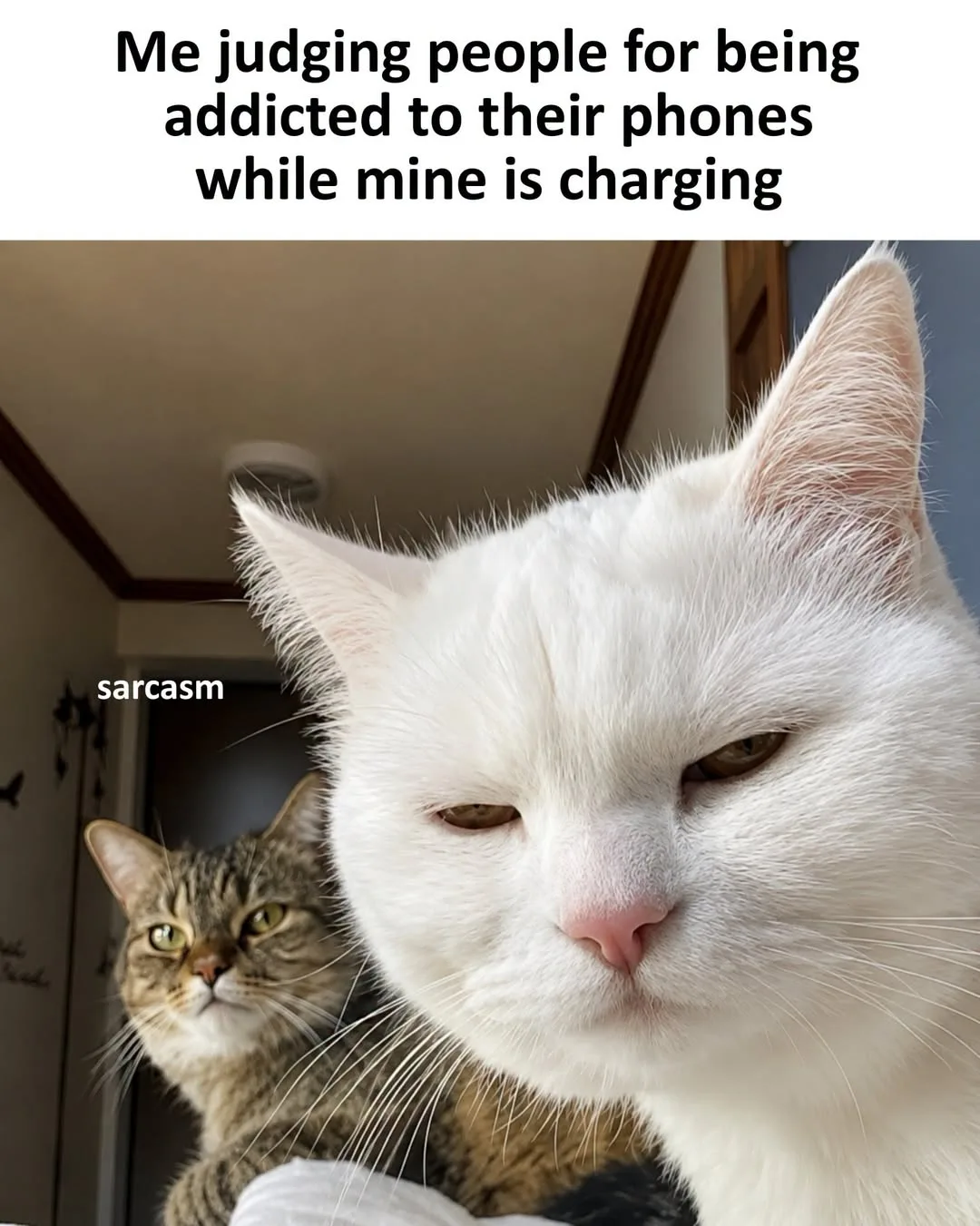 Screen Time meme