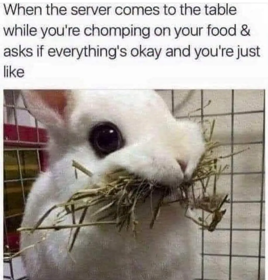 waiter meme