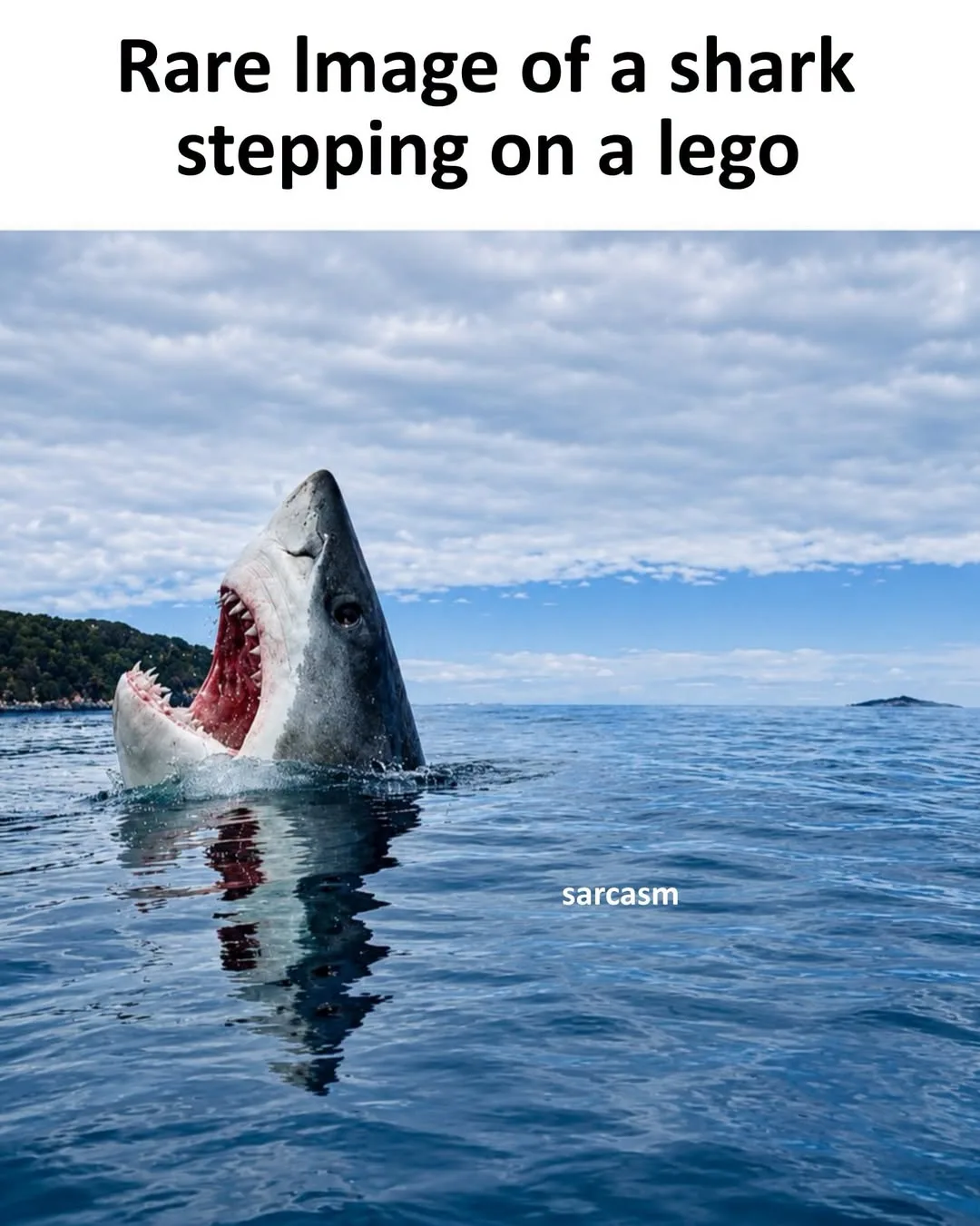 Lego meme