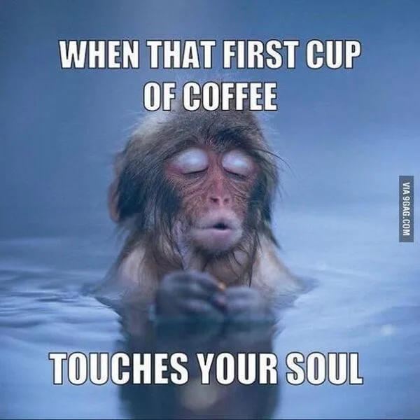 coffee meme