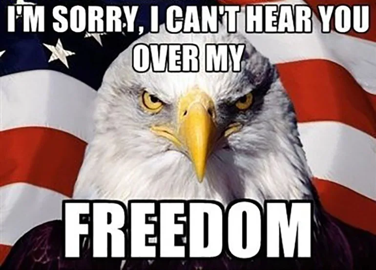 bald eagle meme