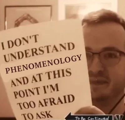 phenomenology meme