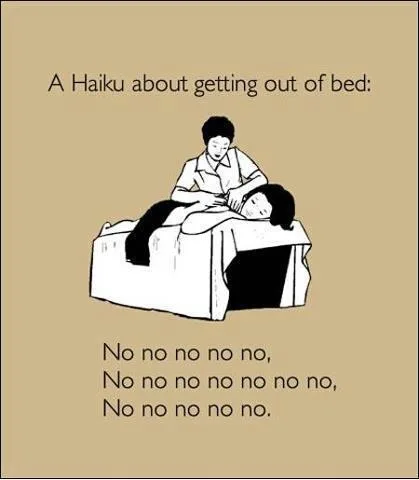 haiku meme