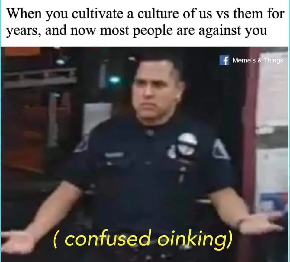 police brutality meme