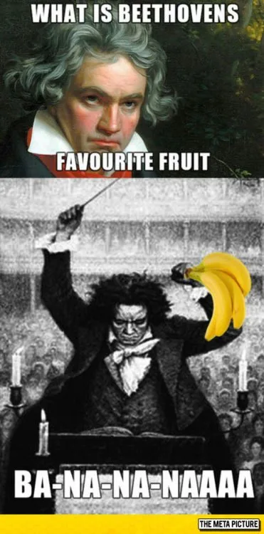 Ludwig van Beethoven meme
