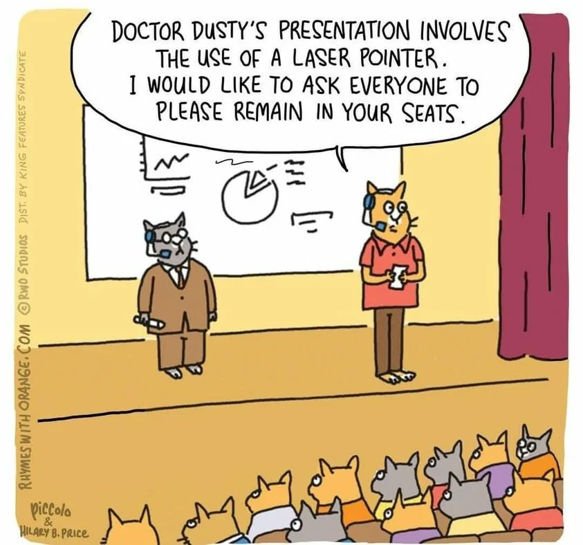 cat meme