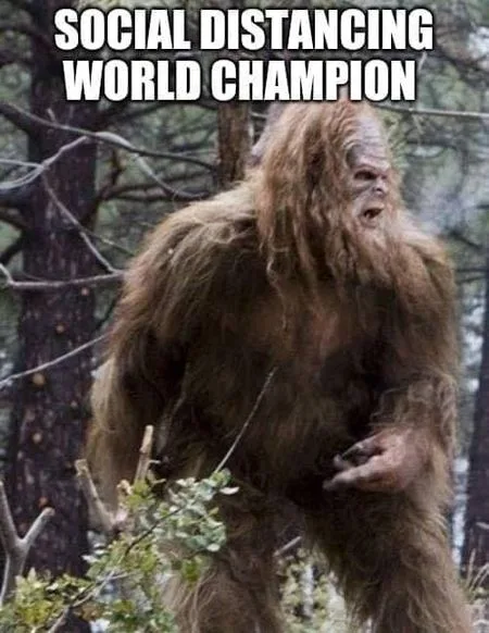 Bigfoot meme