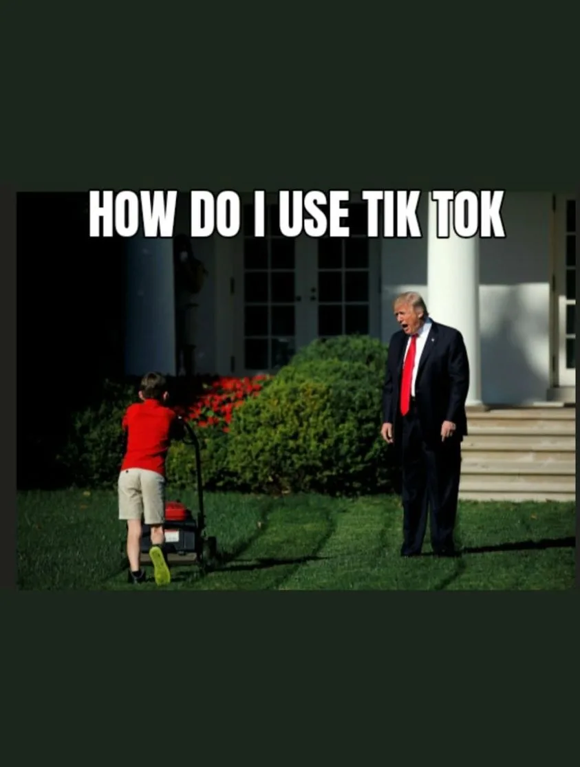 TikTok meme