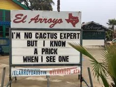 cactus meme