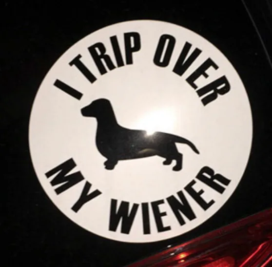 bumper sticker meme