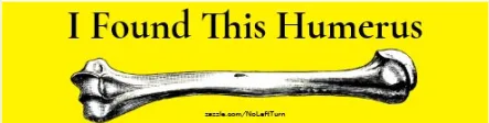 bone meme