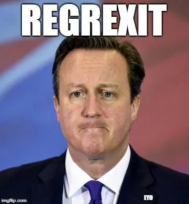Brexit meme