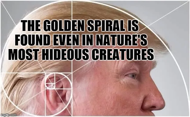 spiral meme