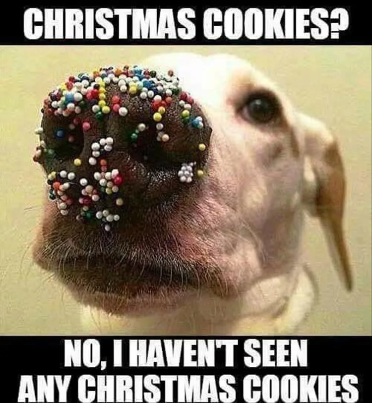 Christmas meme
