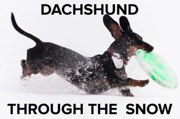 Christmas meme