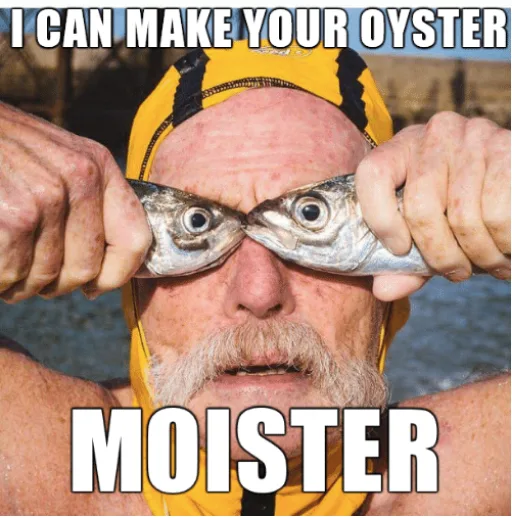 oyster meme