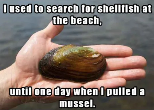 shellfish meme